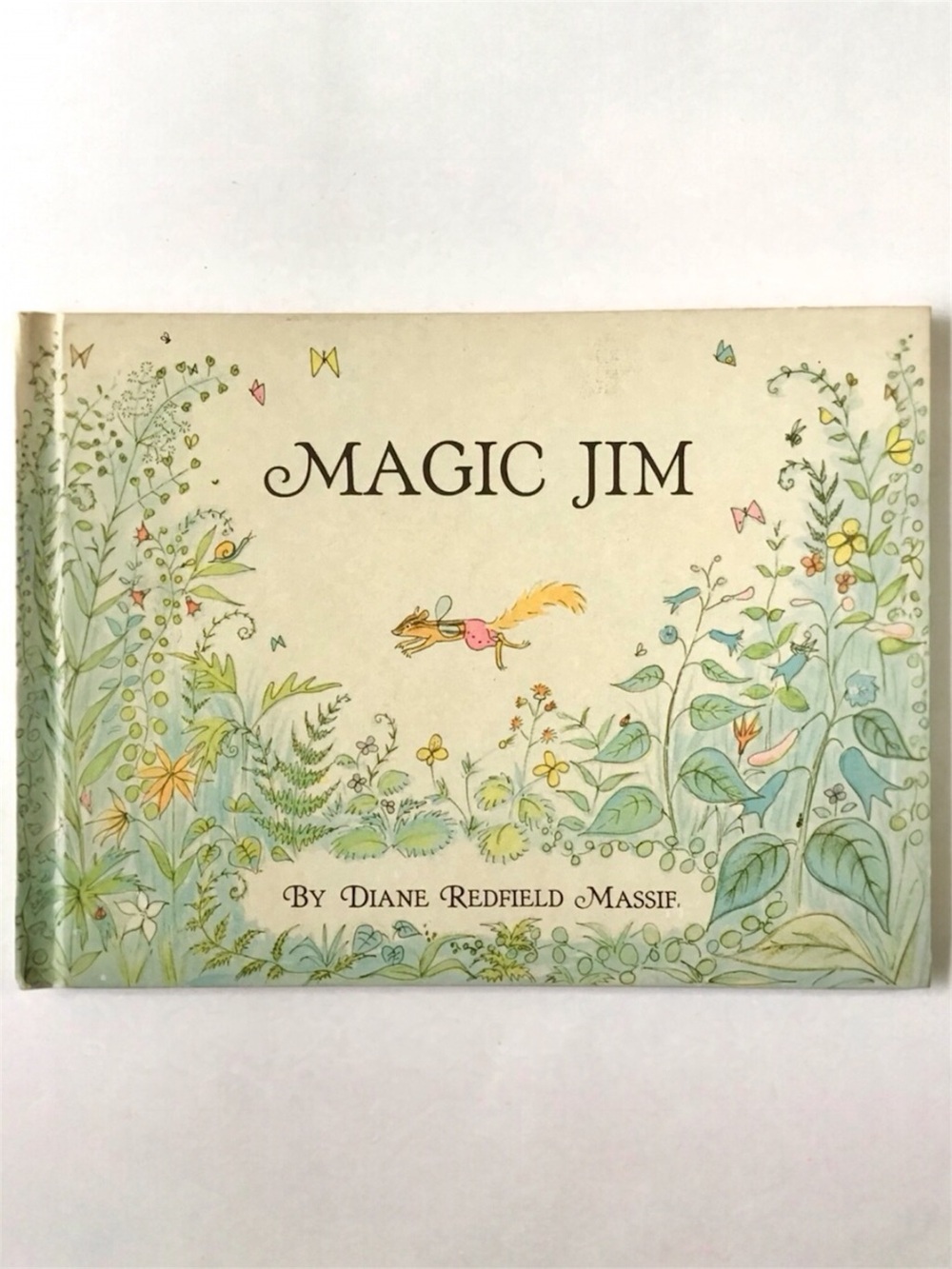 Vintage 1967 Magic Jim Childrens Hardcover Book Diane Redfield Massie Parent Mag